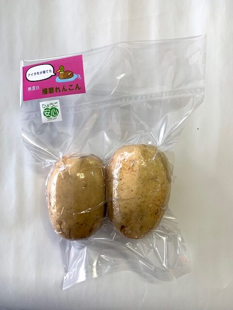 合鴨農法で栽培した播磨れんこん。真空パック販売。