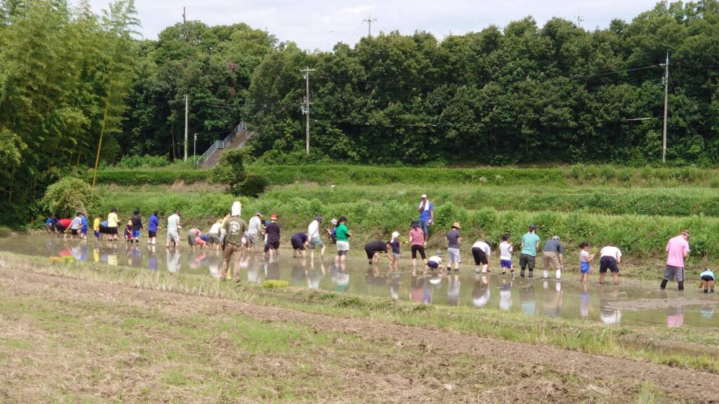 田植え体験を楽しむメンバー