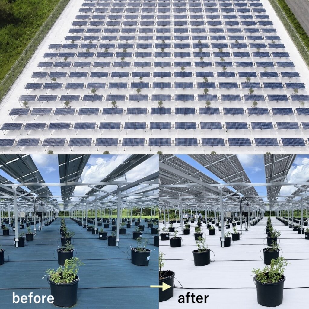 リパワリングで、発電設備の価値向上を支援します