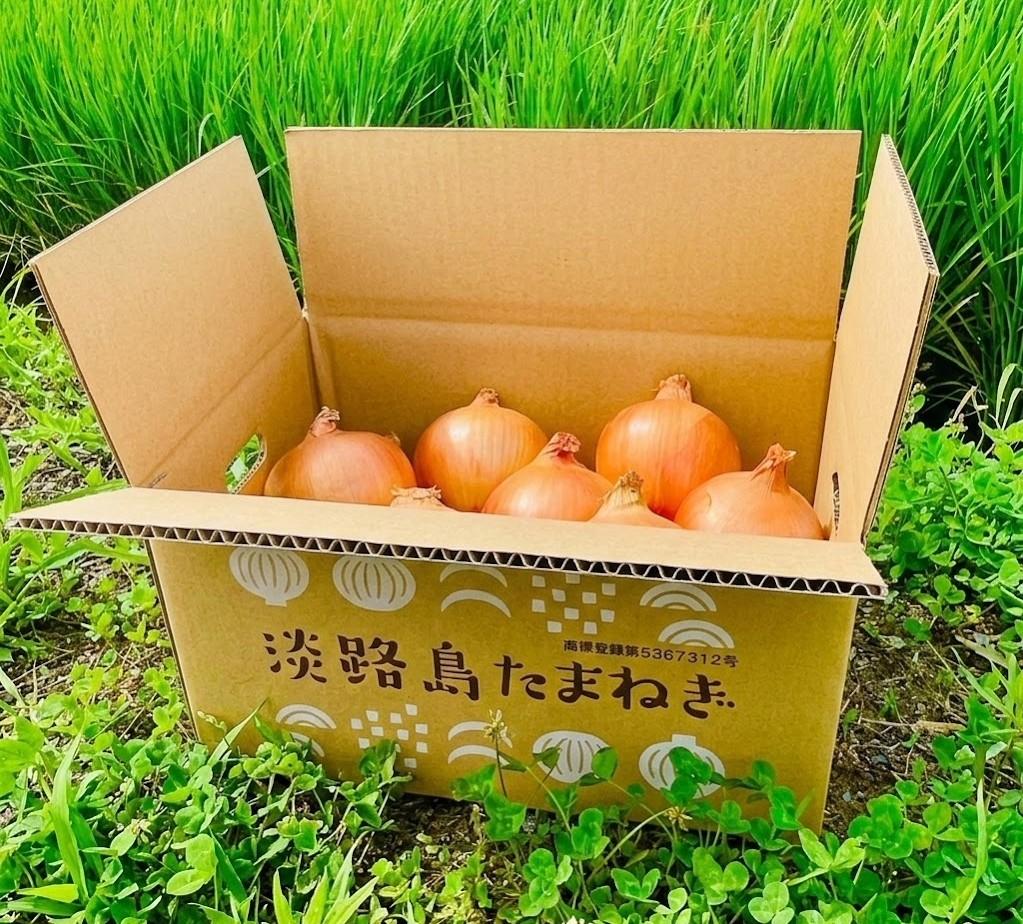 淡路島玉ねぎ「いくたま」